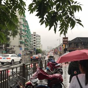 Meet your Posher, Jasper